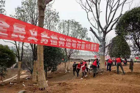 植树活动现场。浙江省林业局供图