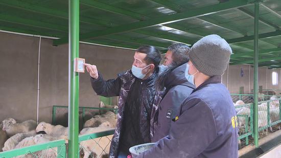 在新疆巴州尉犁县古勒巴格乡同富养殖合作社内，畜牧养殖技术人员正在现场指导养殖户。