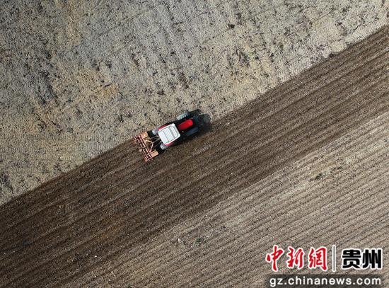贵州省江口县闵孝镇双屯村坝区马铃薯种植基地里，旋耕机在田间来回穿梭。