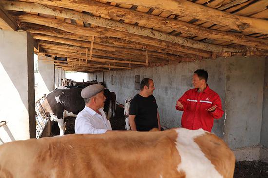 张镇在养牛专业户依斯玛依.买买提阿布拉的牛棚了解养殖情况。