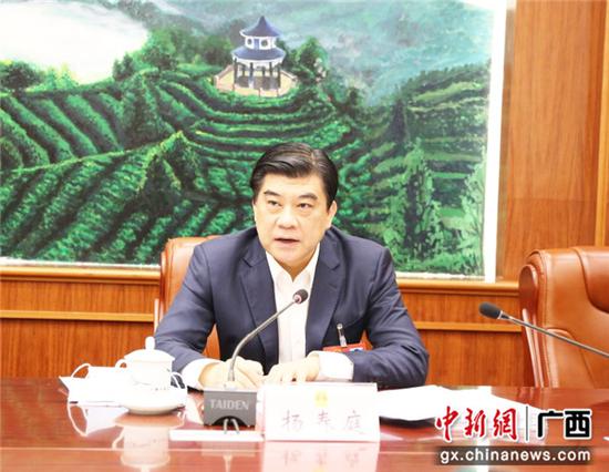 图为广西人大代表、广西投资促进局局长杨春庭。林浩  摄