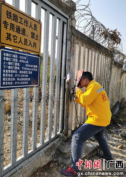 图为桂林高铁工务段及时修复高铁封闭设备。唐忠宇  摄