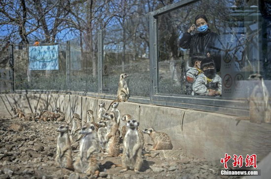 3月27日，游客在天津动物园内游玩。当日，天津动物园恢复开放。 中新社记者 佟郁 摄