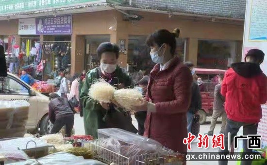 巴马宣传部供图