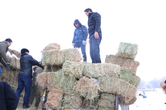 资料图：2017年，兵团驻托盘村访惠聚工作队队员为牧民卸草料。