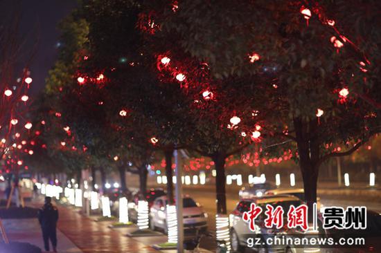 点缀在行道树上的小小红灯笼，让观山湖的夜晚变得更加温馨。