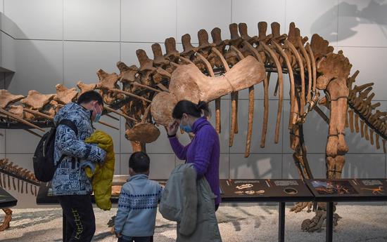 家长带孩子参观了解恐龙骨骼模型。王刚 摄