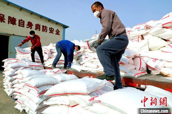 新疆兵团各地农资公司正紧锣密鼓地向各团场配送化肥。　杨厚伟　摄