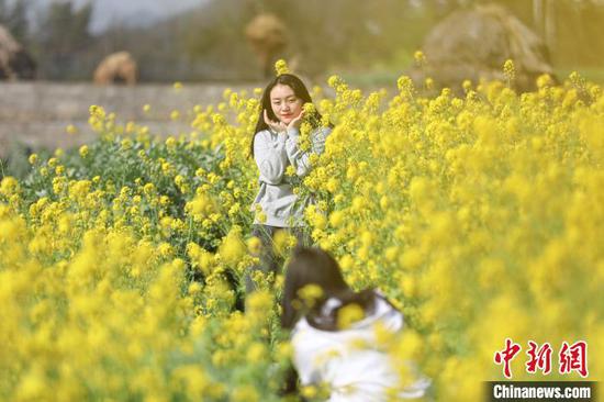 2月23日，游客在贵州万峰林油菜花田里游玩。　瞿宏伦 摄