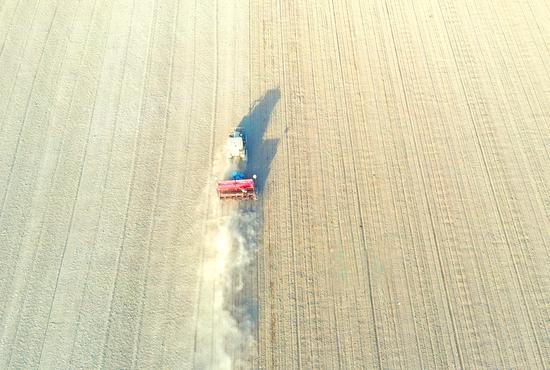 二十一团今年2.55万亩小麦预计在2月底前全部播完。白克斌 摄