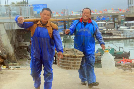 渔民们运送刚捕捞的虾籽上岸。吴立高 摄
