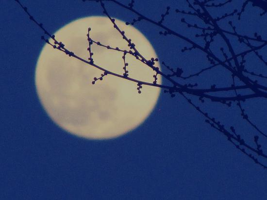 2月26日晚，一轮满月悬挂在新疆裕民县的夜空。