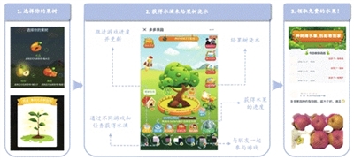 “多多果园”成功将游戏娱乐与扶贫助农相结合，用户通过社交互动的方式培育虚拟果树，可以免费收到一份由拼多多送出的扶贫助农水果。 资料图片