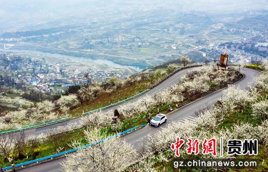 2021年3月4日，贵州省毕节市黔西县大关镇丘林村盘山路在花中绕。