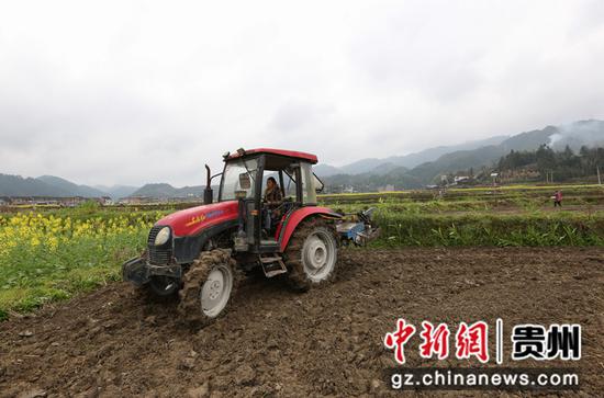 3月3日，村民利用农机设备在贵州省剑河县南明大坝翻犁土地    章雨  摄