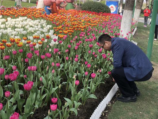 宁波民众赏花现场。林波 摄