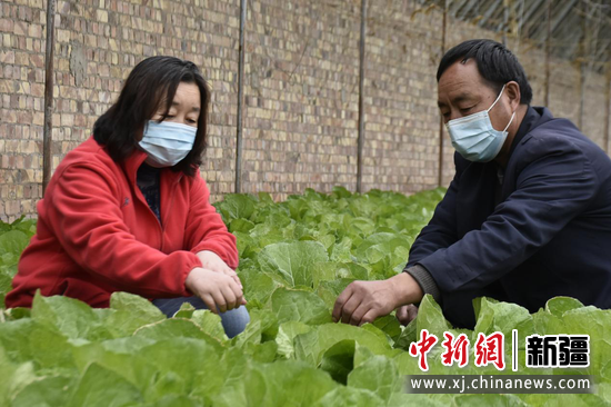 和静县农业农村局园艺技术推广站技术人员为李万荣提供技术服务