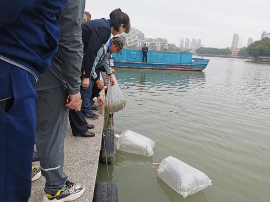 3月20日，执法人员、“护渔”志愿者前往瓯海龙舟基地放流鱼苗。 麻妙泉供图