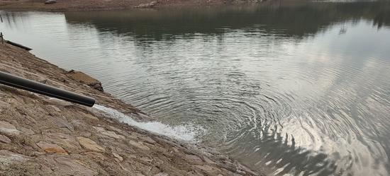 海水淡化后从管道中流出淡水。 陈露男供图