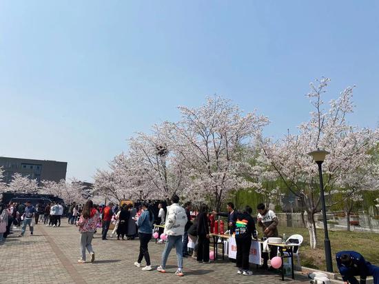 同济浙院创新安全宣传形式 ，办游园会促安全知识入脑入心。江杨烨 摄