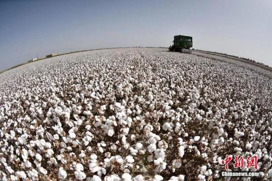 新疆是中国棉花主产区。确·胡热 摄