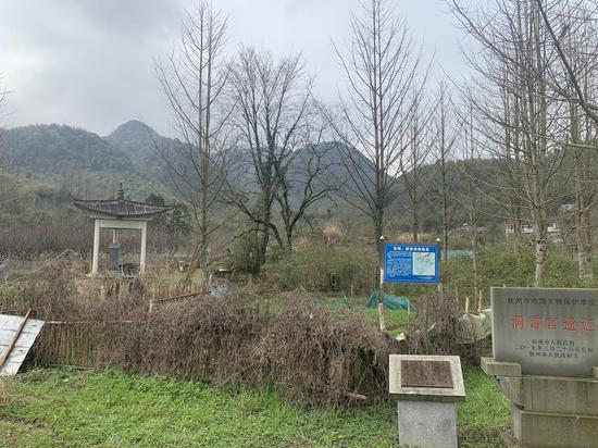 洞霄宫遗址现场图。杭州市文物考古研究所供图