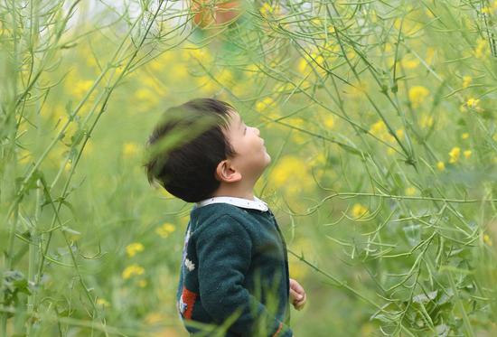 一位小朋友在西溪湿地油菜花田中游玩。王刚 摄