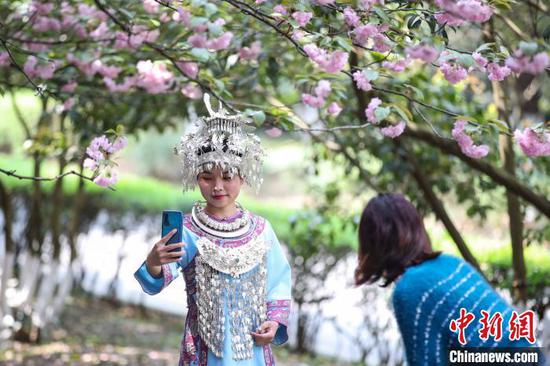 图为3月27日，学生穿着少数民族服装在樱花树下自拍。　瞿宏伦 摄
