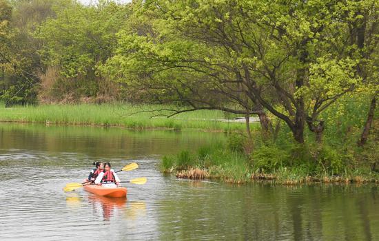 游人乘坐皮划艇游览西溪湿地。王刚 摄
