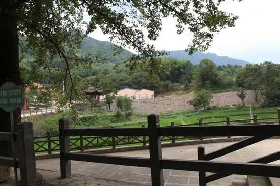 云和县石塘镇滩下村一景。魏建荣 摄