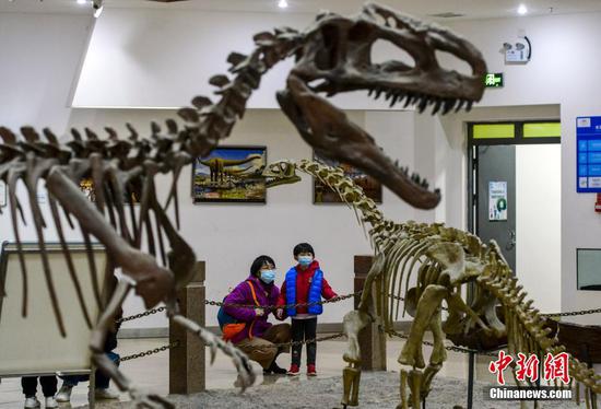 新疆昌吉恐龙馆成为假期研学游打卡地