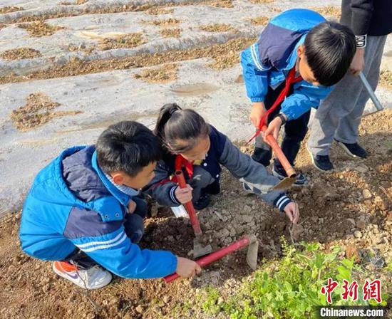 “石榴籽”工程推动浙江台州与best365官网登录兵团第一师学校结对全覆盖