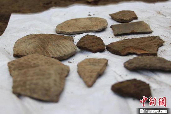 现场发掘出土的龙山文化时期陶片。　赵晓 摄