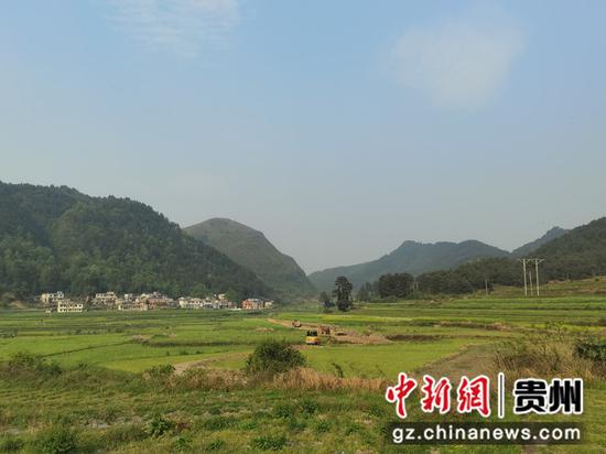 小普村一派绿意盎然景象 云雾镇小普村供图