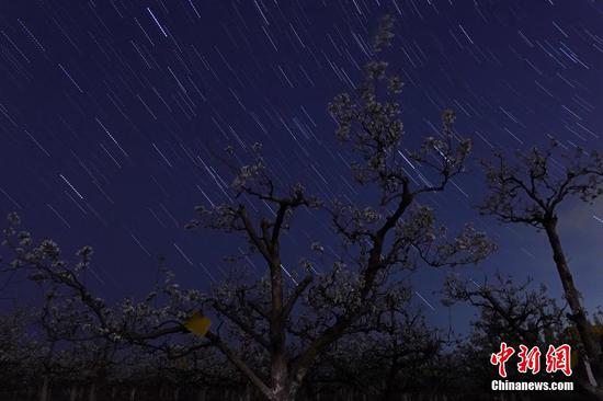 4月中旬以来，新疆库尔勒市出现持续晴好天气，正值梨花盛花期，40余万亩梨花娇艳欲滴。在晴朗的夜空下，盛开的梨花“遇上”星空之美。确·胡热 摄

