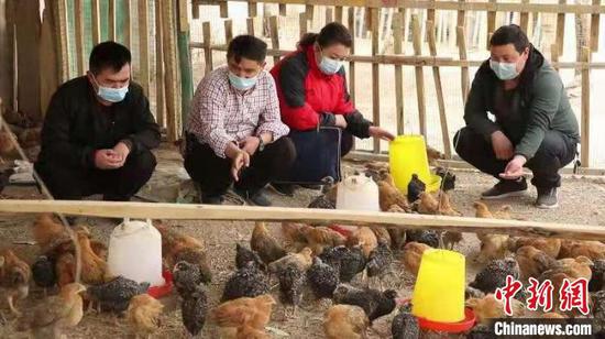 库车市阿克吾斯塘乡博斯坦村驻村工作队员和村干部，来到村民家中了解油鸡生长情况。　王建强　摄
