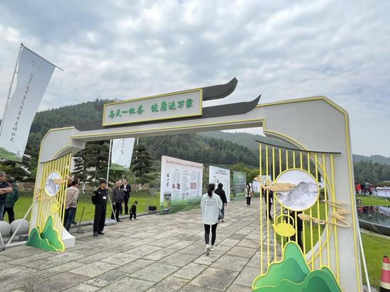 全民饮茶日活动现场。张煜欢 摄