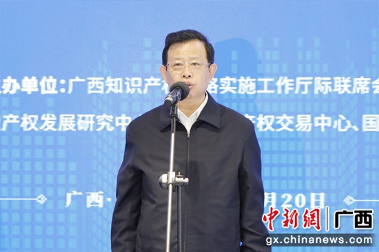 广西自治区副主席李彬出席仪式并宣布活动正式启动 杨彪 摄