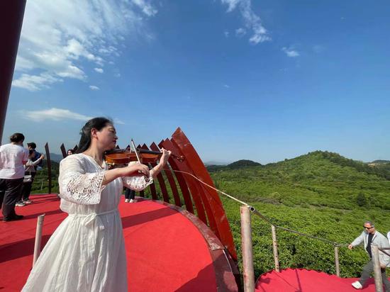 活动现场，演出人员在胡柚林基地演奏小提琴曲。张斌 摄