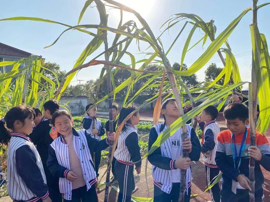 "魏代明称,余姚教育局正着力建立与完善余姚市中小学"劳动实践创造