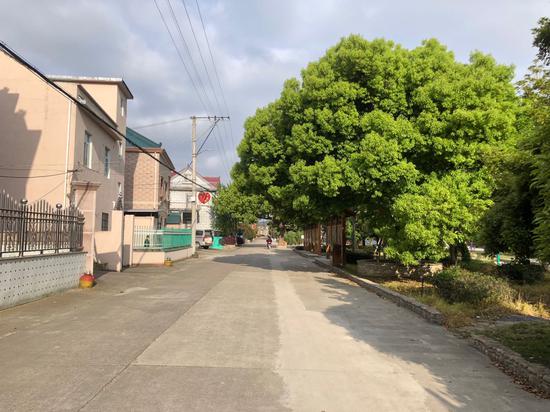象山县一乡村场景。  林波 摄