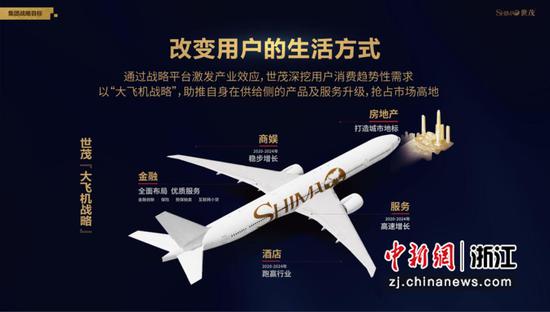“大飞机战略”示意图。浙江世茂供图