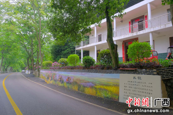 桂林阳朔县党史教育助力乡村振兴 改善人居环境