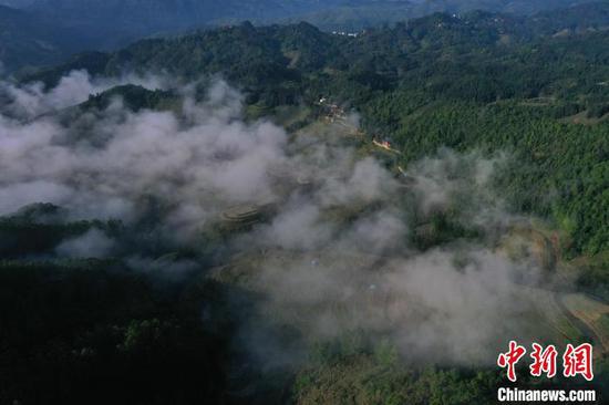 从江县丙妹镇岜沙村拍摄的梯田景色。　吴德军 摄