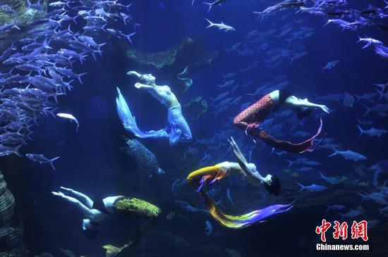 贵州贵阳：水下“美人鱼”舞姿引游客