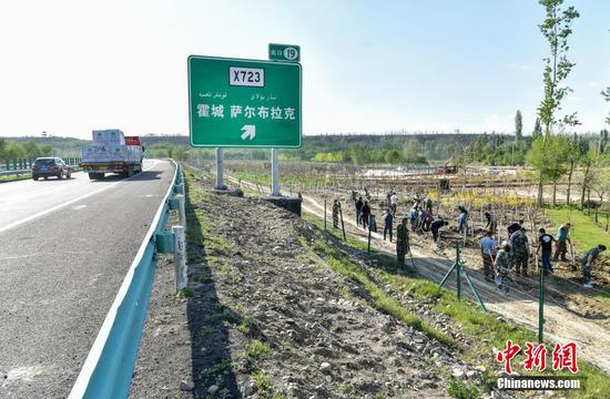 新疆伊犁州持續推進高速公路百里綠色廊道工程