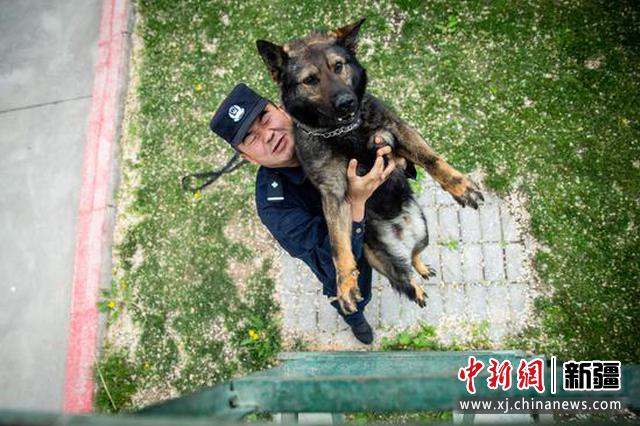 警犬爬直梯时失误民警紧急援助。