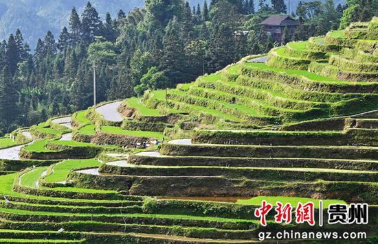 2021年5月15日，贵州省从江县加榜乡加页村村民在梯田间劳作。