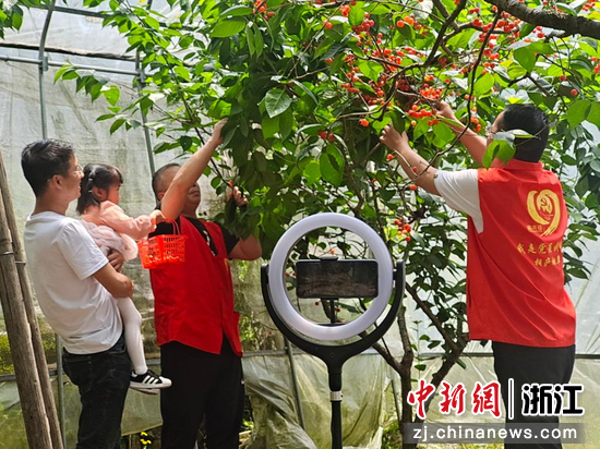 桐庐县烟草专卖局党员志愿者开展助农直播活动。  张增富 摄