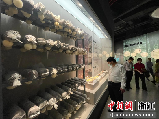 常山三宝文化展示中心展示的猴头菇种植场景。  张斌 摄